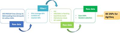 Development of a new AgriSeq 4K mid-density SNP genotyping panel and its utility in pearl millet breeding